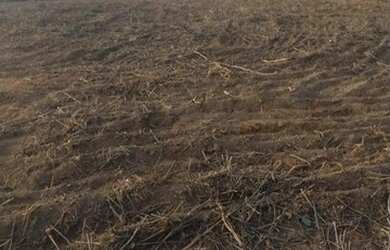 Imagem: A fazenda possui 664000m² de Área e está localizado em Monte