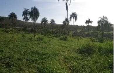 Imagem: A fazenda possui 3968800m² de Área e está localizado em Área