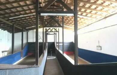 Imagem 13: APARTAMENTO RESIDENCIAL em Balneário Camboriu - SC, Pioneiros