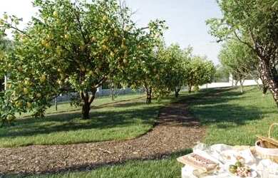 Imagem 4: Vem Aí. Lotes Novo Jardins FGR - minutos do Portal Sul Shopping - Ap....