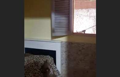 Imagem 5: vendo. 55m² de Área, 1 Banheiroe1 Dormitório