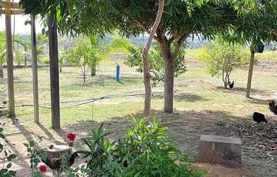 Imagem 4: VENDE-SE SÍTIO EM AMAJARI - OPORTUNIDADE IMPERDÍVEL