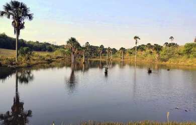 Imagem 5: Sítio 2,0 alqueires, muita água, entre Uberlândia e Monte Alegre