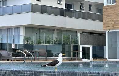 Imagem: O apartamento possui 2 Dormitórios, Acomodam 7 pessoas, 1 Vaga