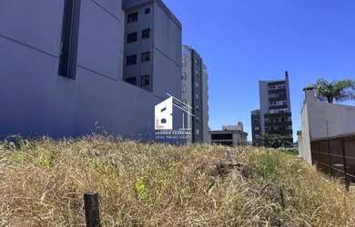 Imagem 8: Terreno plano no bairro Sanvitto, com 420 metros