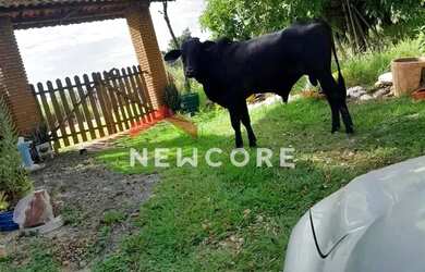 Imagem: A fazenda possui 171m² de Área e está localizado em Porangaba