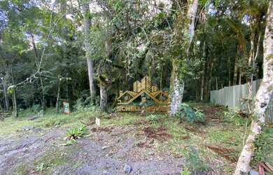 Imagem 9: Terreno à venda, 592 m² por R$ 375.000,00 - Bosque Sinoserra - Canela/RS