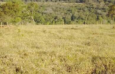 Imagem: O terreno possui 1.000m² de Área e está localizado em Jaboticatubas