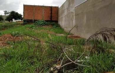 Imagem: O terreno e está localizado em Caranã, Boa Vista à venda
