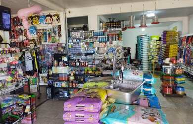 Imagem 6: Vendo uma loja petshopp