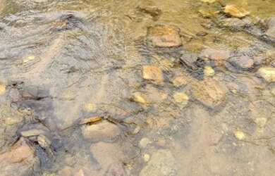 Imagem 11: Maravilhoso Sítio Em Rio Preto M.G. 168 Hectares