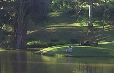 Imagem: A fazenda possui 400.000m² de Área e está localizado em