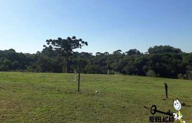 Imagem: A chácara possui 10.000m² de Área e está localizado em