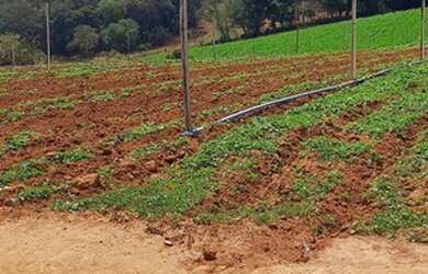 Imagem: O terreno possui 1.000m² de Área e está localizado em Ponte