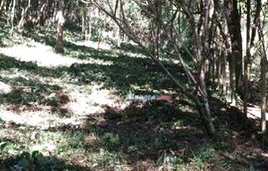 Imagem 6: Terreno à venda, 2750 m² por R$ 135.000 - Vicente Nunes - Nazaré Paulista/SP...