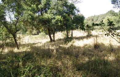 Imagem 4: Sitio Pilar do Sul SP. 96.800m² de Área