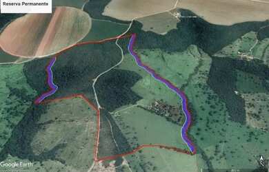 Imagem 16: Fazenda à venda, 396 hectares por R$ 3.100.000 - Zona Rural - Luziânia/GO