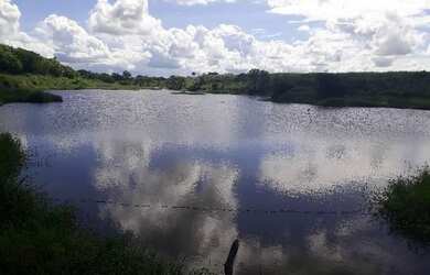 Imagem 2: Linda Fazenda com 700 hectares na região de São Gonçalo do Amarante