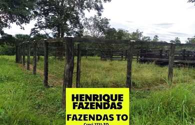 Imagem 5: Fazenda de oportunidade em Divinopolis 25 alq por 1,5 milhões