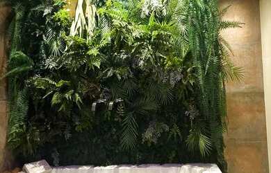 Imagem 15: Parceria em Sociedade - Clínica de Estética na Tijuca