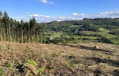 Imagem: A fazenda possui 20.000m² de Área e está localizado em Nova