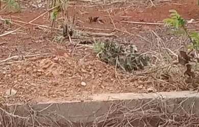 Imagem: Vendo Lote comercial