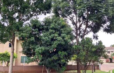 Imagem 7: Casa para venda no Residencial Palmares com 05 quartos em Park Way - DF