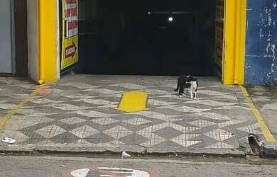 Imagem: O depósito possui 5 Vagas na garagem, 600m² de Área, Imóvel