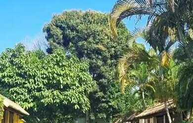 Imagem 3: Linda casa Duplex em condomínio fechado