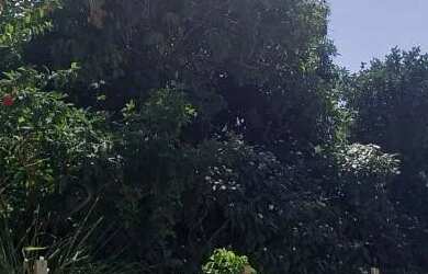 Imagem 7: Casa em Olinda Bultrins. 100m² de Área, 2 Vagas na garageme4 Dormitórios