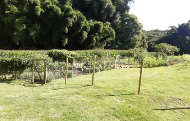 Imagem 14: Lindo Sitio Desterro de Entre Rios 18 hectares 180 mil metros muito verde...