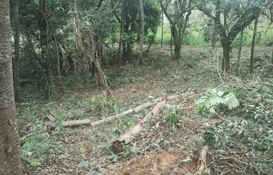 Imagem: Vendo terreno bairro Piratuba, ou troco por terreno, casa em