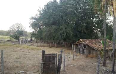 Imagem 6: Fazenda Samambaia Aurilandia Goias Remo-Recanto Monte das Oliveiras Park...