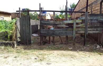 Imagem: O terreno está localizado em Tapanã, Belém à venda por R$20.000