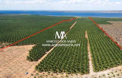 Imagem 5: Fazenda São João