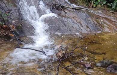 Imagem 1: Maravilhoso Sítio Em Rio Preto M.G. 168 Hectares