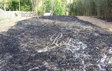 Imagem 2: Terreno à venda, 300 m² por R$ 60.000,00 - Jardim Nova Ipelândia -...