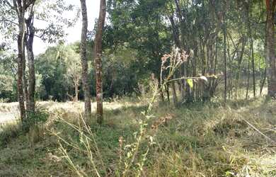 Imagem 11: Sitio Pilar do Sul SP. 96.800m² de Área