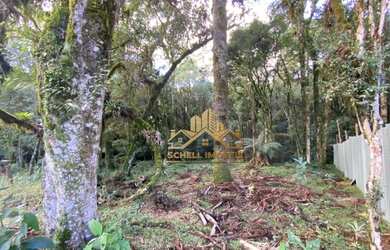 Imagem 6: Terreno à venda, 592 m² por R$ 375.000,00 - Bosque Sinoserra - Canela/RS