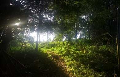 Imagem 13: vende-se terreno 810m² urgente