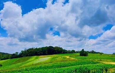 Imagem 14: 11O- Vendo Terreno de 500m2 com apenas R$ 10 Mil de ENTRADA