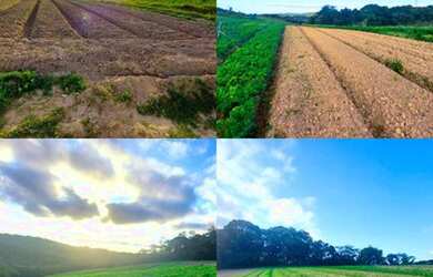 Imagem: O terreno possui 500m² de Área e está localizado em Jardim