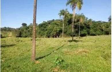 Imagem 2: Fazenda à venda, 396 hectares por R$ 3.100.000 - Zona Rural - Luziânia/GO