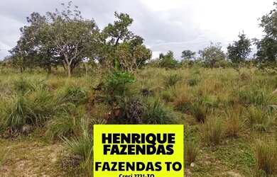 Imagem 8: Fazenda de oportunidade em Divinopolis 25 alq por 1,5 milhões