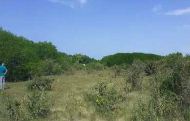 Imagem: Terreno em Leilão - Bravim - Fortim - CE