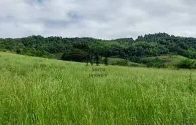 Imagem 3: Sítio bairro Linha Brasil, Nova Petrópolis.RS Ref. 134