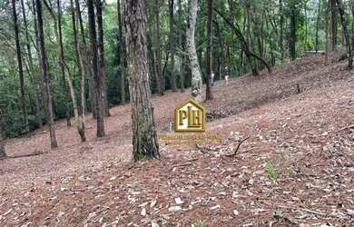 Imagem: O terreno possui 1.500m² de Área e está localizado em Portão