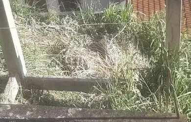 Imagem 16: Casa à Venda Casa com 1 dormitório