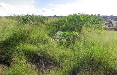 Imagem: O terreno possui 980m² de Área, Imóvel novo e está localizado