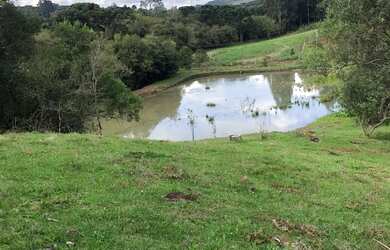Imagem 2: Vendo chácara de 3,6 hectares na localidade da boca da serra